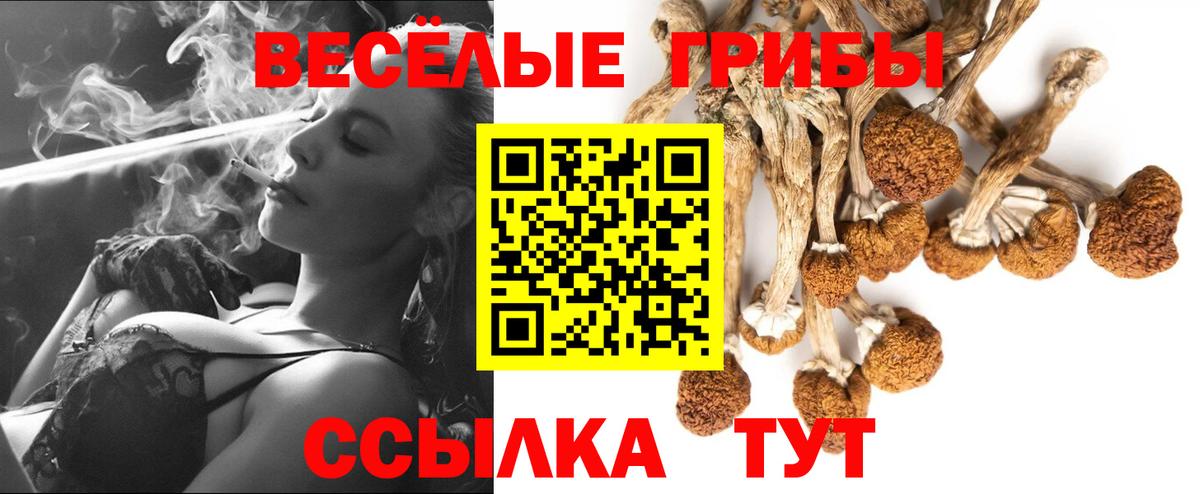 Сердобск  Галлюциногенные грибы прущие грибы  Псилоцибиновые грибы Psilocybine cubensis  купить  цена  Вход с VPN 